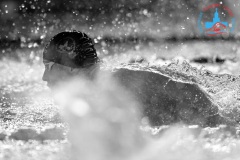 Чемпионат и Первенство Москвы по плаванию 2020 (50м) Бассейн Динамо. photo: #russportimage